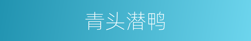 青头潜鸭的同义词