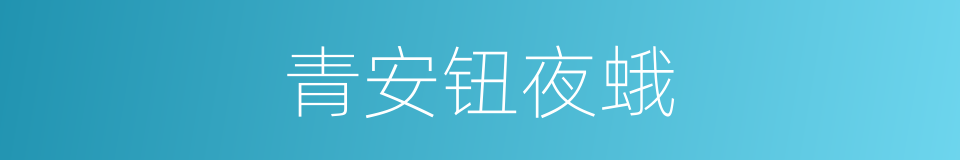 青安钮夜蛾的同义词
