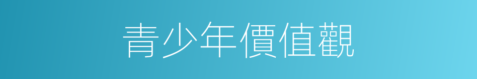 青少年價值觀的同義詞