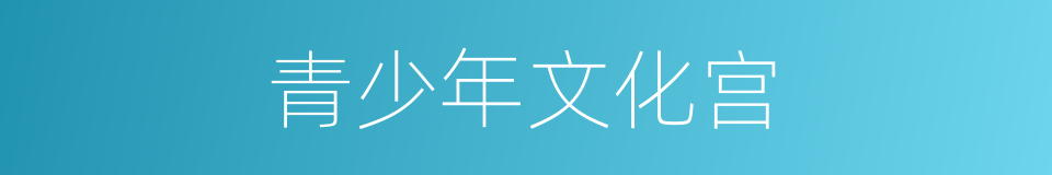 青少年文化宫的同义词