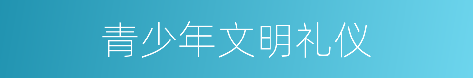 青少年文明礼仪的同义词