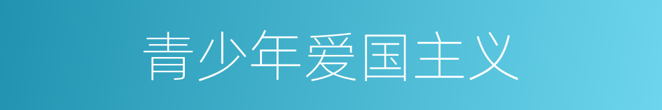 青少年爱国主义的同义词