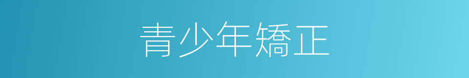 青少年矯正的同義詞