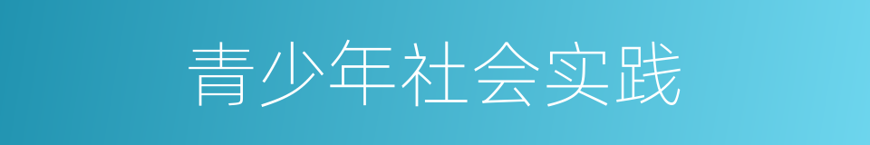 青少年社会实践的同义词