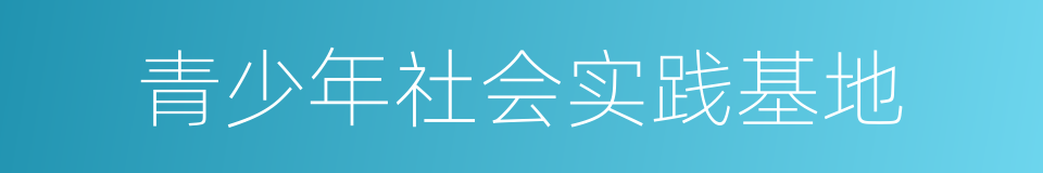 青少年社会实践基地的同义词