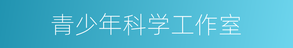 青少年科学工作室的同义词
