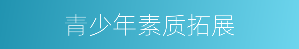 青少年素质拓展的同义词