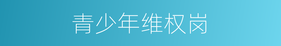 青少年维权岗的同义词