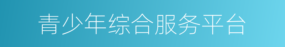 青少年综合服务平台的同义词