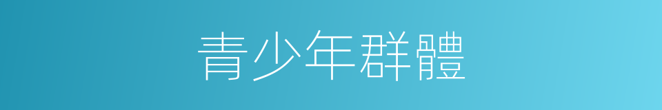 青少年群體的同義詞