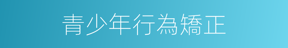 青少年行為矯正的同義詞