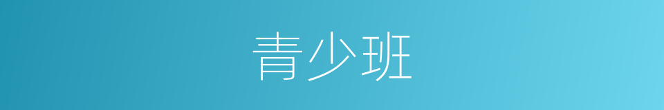 青少班的同义词