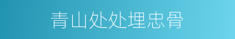 青山处处埋忠骨的意思