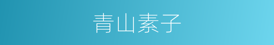 青山素子的意思