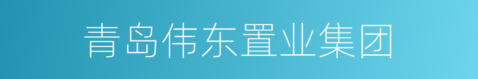 青岛伟东置业集团的同义词