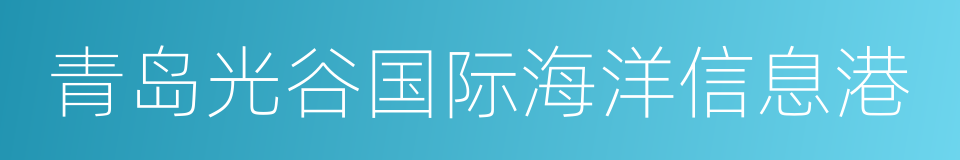 青岛光谷国际海洋信息港的同义词