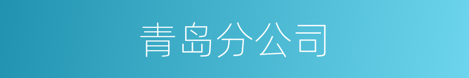 青岛分公司的同义词