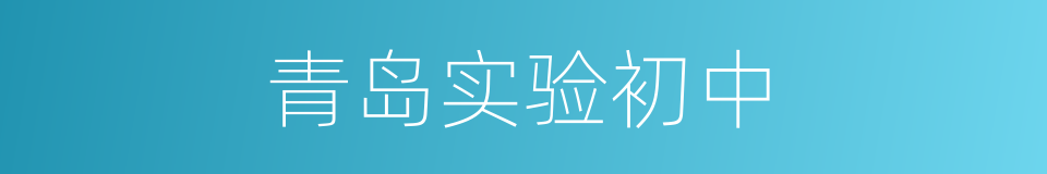 青岛实验初中的同义词