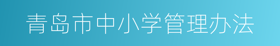 青岛市中小学管理办法的同义词