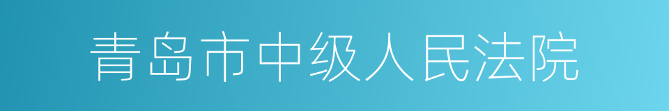 青岛市中级人民法院的同义词