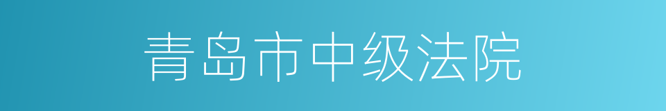 青岛市中级法院的同义词