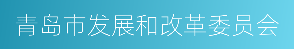 青岛市发展和改革委员会的同义词