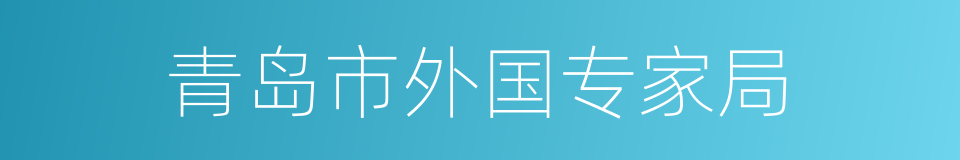 青岛市外国专家局的同义词