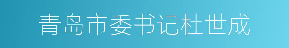 青岛市委书记杜世成的同义词