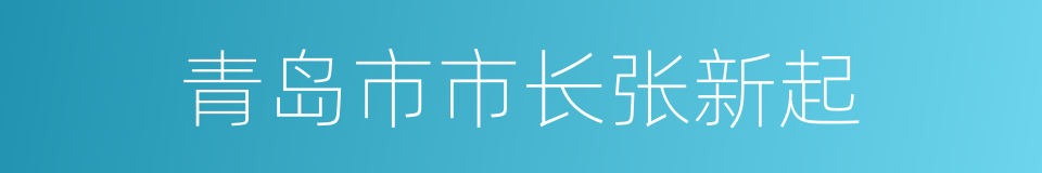 青岛市市长张新起的同义词