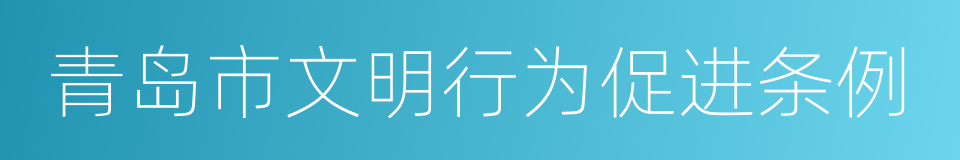 青岛市文明行为促进条例的同义词