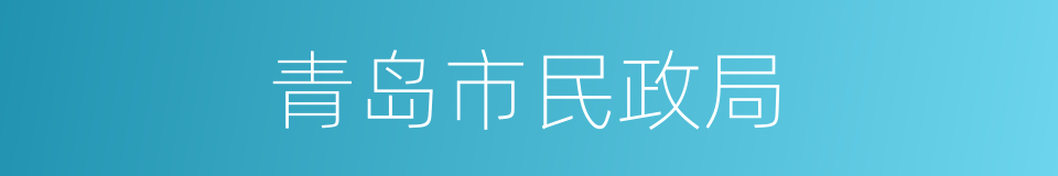 青岛市民政局的同义词