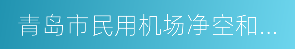 青岛市民用机场净空和电磁环境保护管理办法的同义词