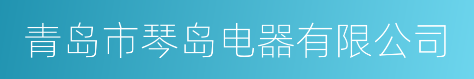 青岛市琴岛电器有限公司的同义词