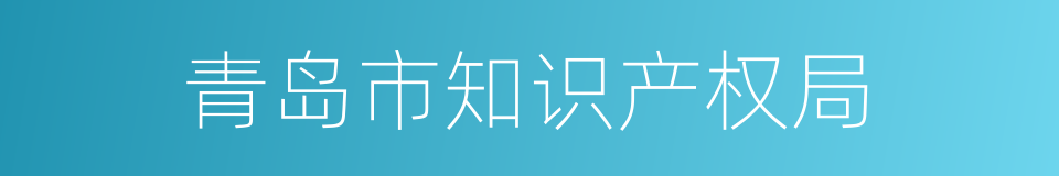 青岛市知识产权局的同义词