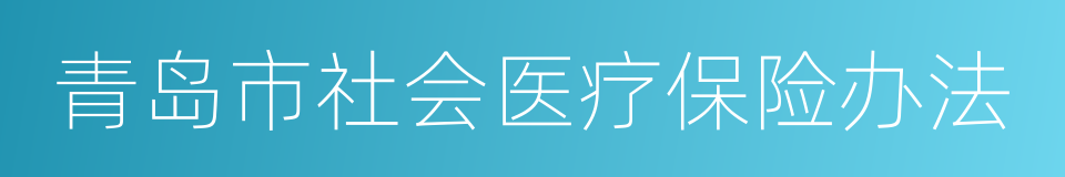 青岛市社会医疗保险办法的意思