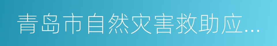 青岛市自然灾害救助应急预案的同义词