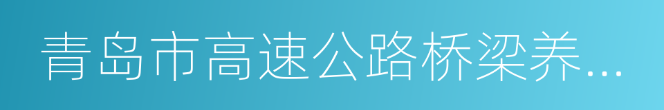 青岛市高速公路桥梁养护管理规范的同义词