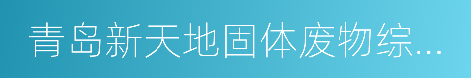 青岛新天地固体废物综合处置有限公司的同义词