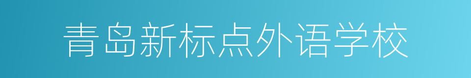 青岛新标点外语学校的同义词