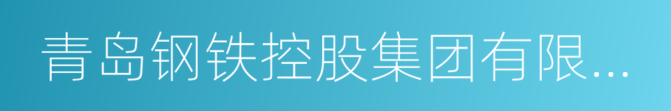 青岛钢铁控股集团有限责任公司的同义词