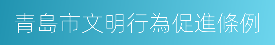 青島市文明行為促進條例的同義詞