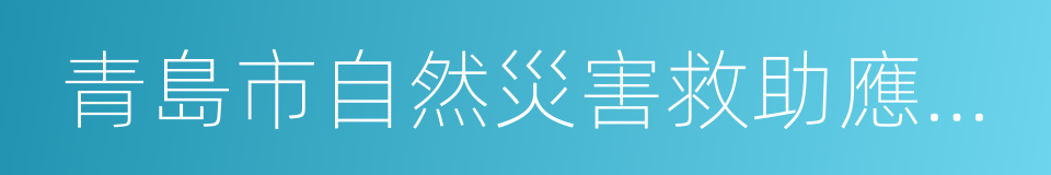 青島市自然災害救助應急預案的同義詞