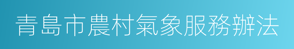 青島市農村氣象服務辦法的同義詞