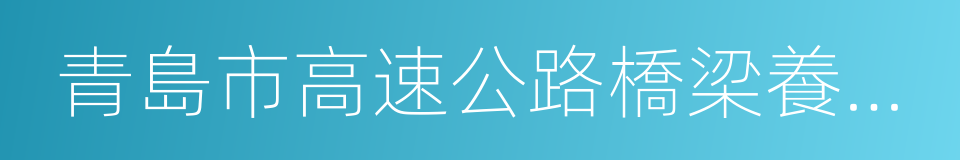 青島市高速公路橋梁養護管理規範的同義詞