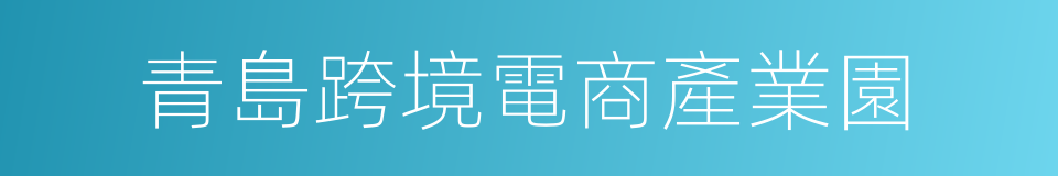 青島跨境電商產業園的同義詞