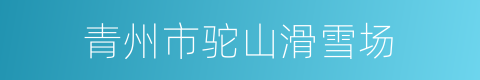 青州市驼山滑雪场的同义词