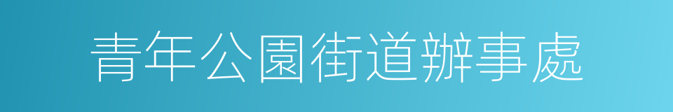 青年公園街道辦事處的同義詞