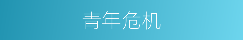 青年危机的意思