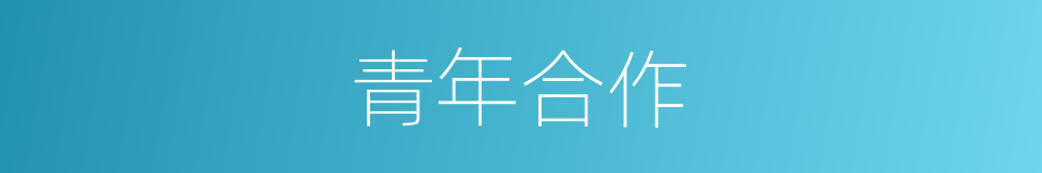 青年合作的同义词