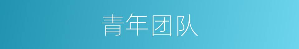 青年团队的同义词